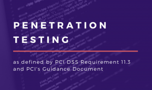 penetration testing infographic header