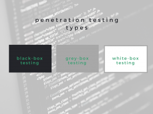 penetration testing types infographic